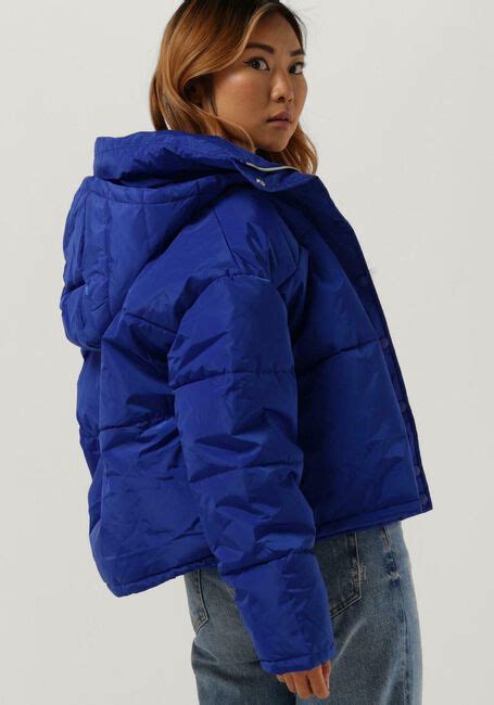 blauwe puffer